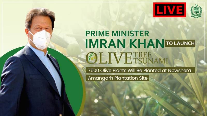 آئندہ نسلوں کے لئے وزیر اعظم عمران خان کا عمدہ اقدام ، زیتون کے درخت لگانے کی مہم کے دوران تقریر