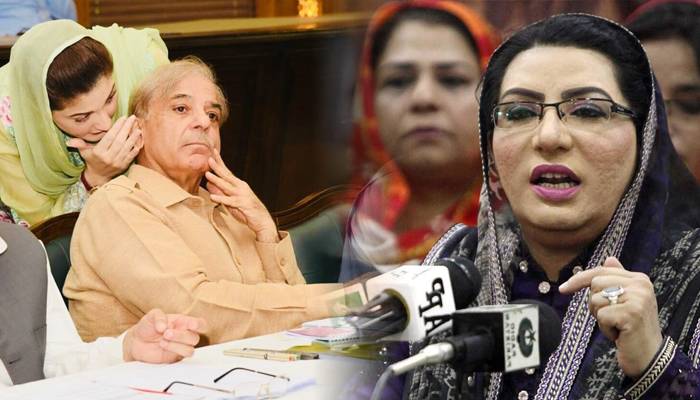 ’’سیاست میں ن اور ش مدمقابل آ گئی ہیں‘‘