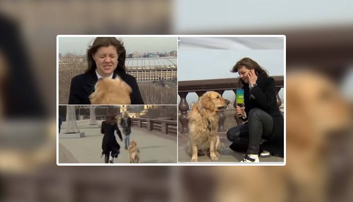 لائیو رپورٹنگ کے دوران کتا خاتون سے مائیک چھین کر فرار