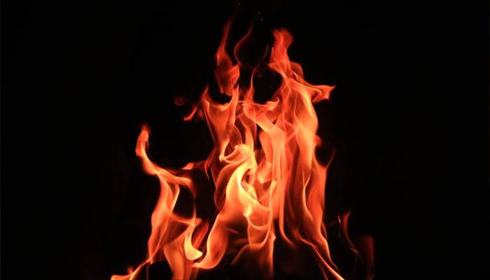 کشمور: واپڈا کالونی گڈو میں گھروں کے قریب درختوں کو آگ لگ گئی