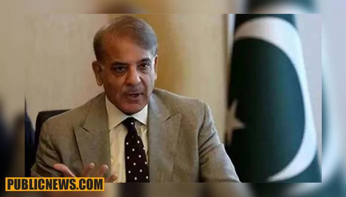 ’وزیر اعظم عوام کے سامنے اپنے سفیروں کی تضحیک نہ کریں‘