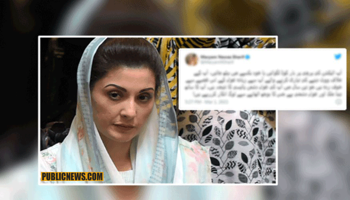 ’’معلوم ہو گیا سلیکٹڈ شہباز شریف سے کتنا خوفزدہ ہے؟‘‘