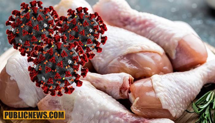 واقعی چکن سے انسانوں میں کورونا وائرس منتقل ہو رہا ہے؟