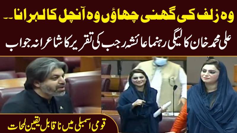 علی محمد خان کا لیگی رہنما عائشہ رجب کی تقریر پر شاعرانہ جواب