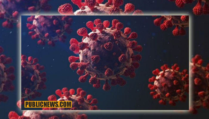 کورونا وائرس سے مزید 25 مریض جاں بحق