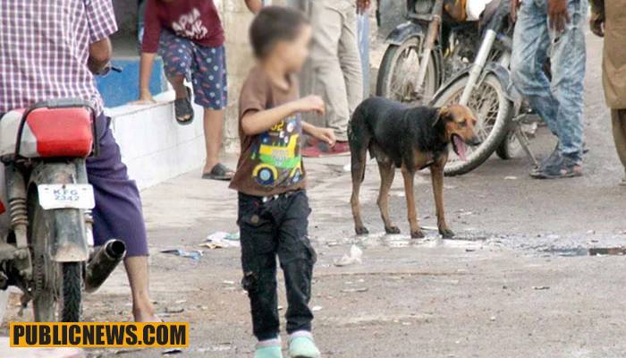 لاہور :کتے کے کاٹنے سے 6 سالہ بچہ جاں بحق