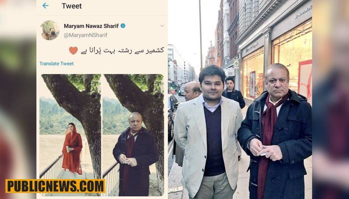 مریم نواز کو جعلی تصویر شیئر کرنا مہنگا پڑ گیا