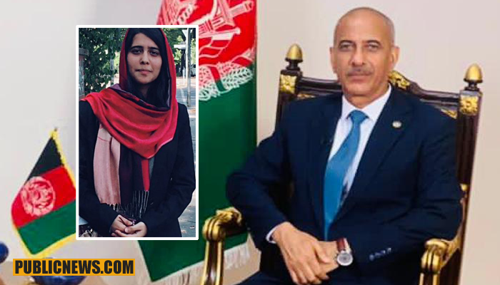 افغان سفیر کی بیٹی پر تشدد، دوسرا مرکزی ملزم بھی گرفتار