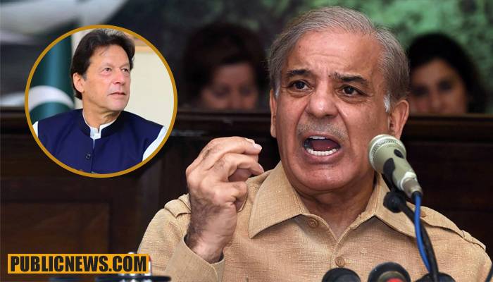 ’نوازشریف کو لندن بھجوانے کا فیصلہ حکومت کا تھا‘