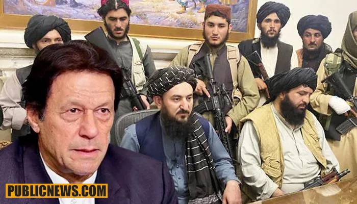 افغان مسئلے کے پائیدار حل کی ’کنجی‘ پاکستان ہے