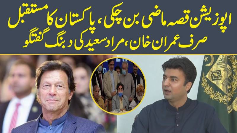 پاکستان کا مستقبل صرف عمران خان ہے: مراد سعید