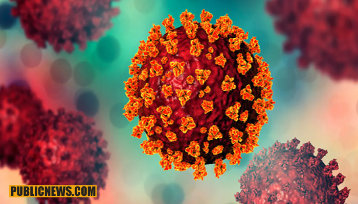 مہلک کورونا وائرس نے مزید 41زندگیاں نگل لیں