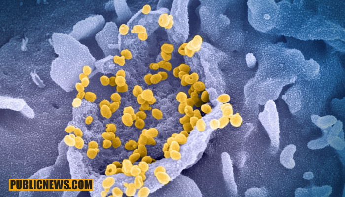 مہلک کورونا وائرس سے مزید 39 مریض جاں بحق