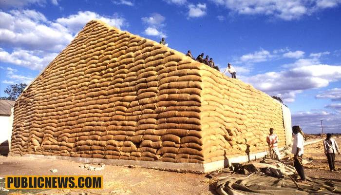 پاکستان 6 لاکھ 40 ہزار ٹن گندم درآمد کرے گا