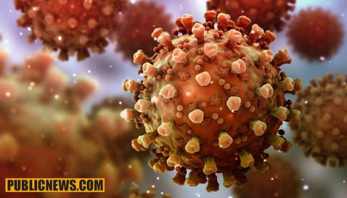 کورونا وائرس سے مزید 54 اموات