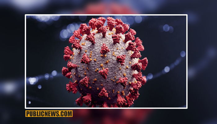 کورونا وائرس سے مزید 28 افراد جاں بحق
