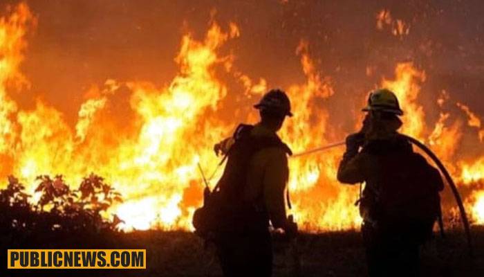 بلوچستان: ضلع شیرانی میں جنگلات پر لگی آگ مزید شدت اختیار کر گئی