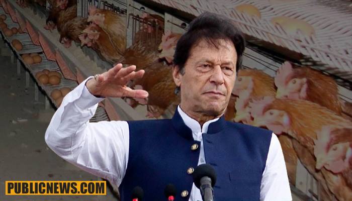 عمران خان کا شہباز گل پر تشدد کیخلاف کل احتجاج کا اعلان