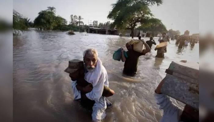 ملک بھر میں سیلاب کی تباہ کا ریاں ، اموات کی تعداد982 ہوگئی