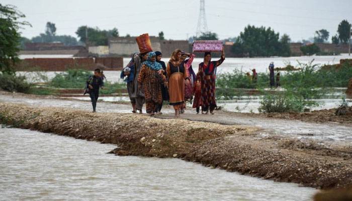 سندھ حکومت: سیلاب متاثرین کی بحالی کیلئے 23 اضلاع کو رقم جاری