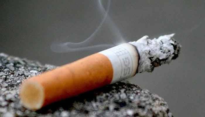 تمباکو مصنوعات پر حالیہ ٹیکسز کے نفاذ کا حکومتی اقدام قابل تحسین ہے، شارق محمود