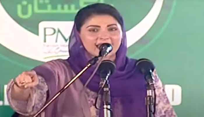 ' زمان پارک میں دیکھ لیا کہ سسلین مافیا اور گاڈ فادر کیا ہوتا ہے'