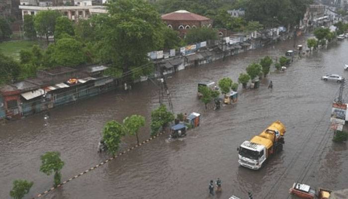 گزشتہ 24 گھنٹوں میں پنجاب میں بارشوں سے کتنی اموات رپورٹ ہوئیں ؟ رپورٹ جاری