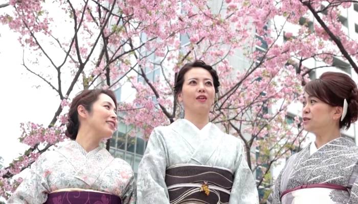 گلوبل وارمنگ،جاپان میں بہارسےپہلے ہی چیری کےپھول کھل اُٹھے