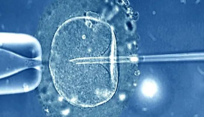 embryo is life