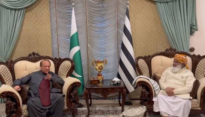 نواز شریف کی مولانا فضل الرحمان سے ملاقات،سیاسی امور پر تبادلہ خیال