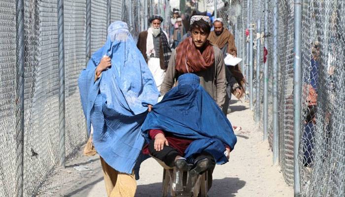 افغان باشندوں کی ملک بدری کا دوسرا مرحلہ شروع