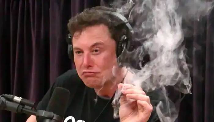 elon musk take drugs