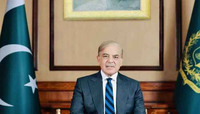 ریکوڈک منصوبہ بلوچستان اور علاقے کی ترقی کیلئے گیم چینجر ثابت ہو گا، وزیراعظم 
