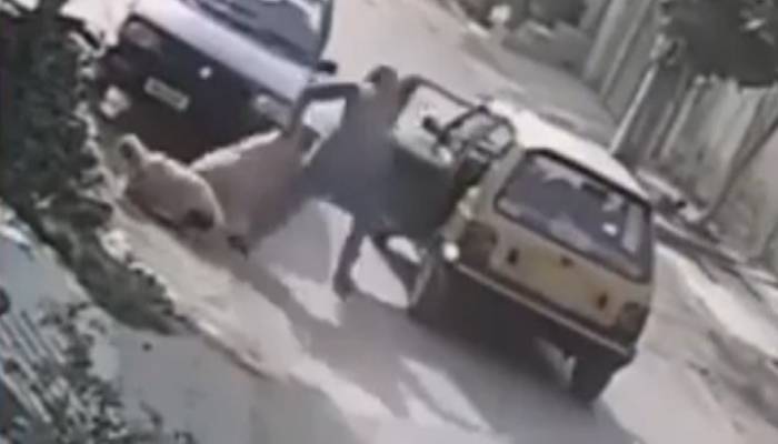 ٹیکسی ڈرائیور کی دنبے چوری کرنے کی ویڈیو وائرل