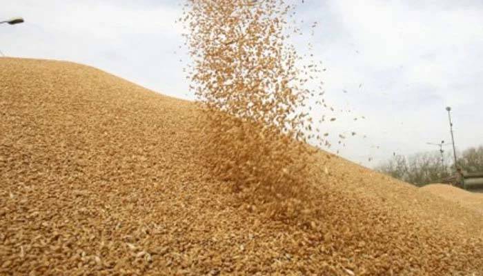 پنجاب میں گندم کی امدادی قیمت 3900 روپے فی من مقرر