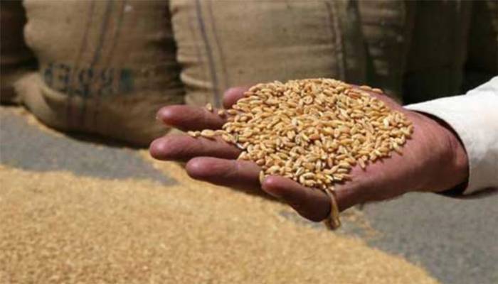 گندم کی مناسب قیمت نہ ملنے کیخلاف کسانوں کا احتجاج، بڑامطالبہ کردیا