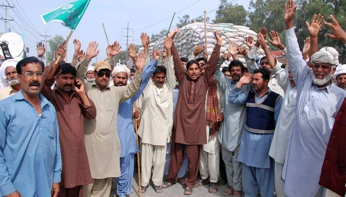 گندم خریداری: پنجاب حکومت سے معاملات طے نہ ہوسکے، کسانوں کا احتجاج کا اعلان