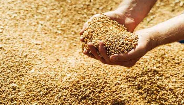 گندم کی ترسیل پر کوئی پابندی نہیں لگائی، محکمہ خوراک پنجاب
