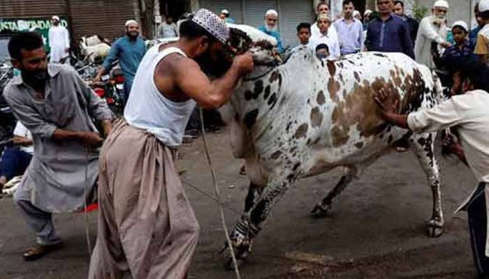 کراچی: قصابوں کیجانب سے جانوروں کو ذبح کرنے کی ریٹ لسٹ جاری 