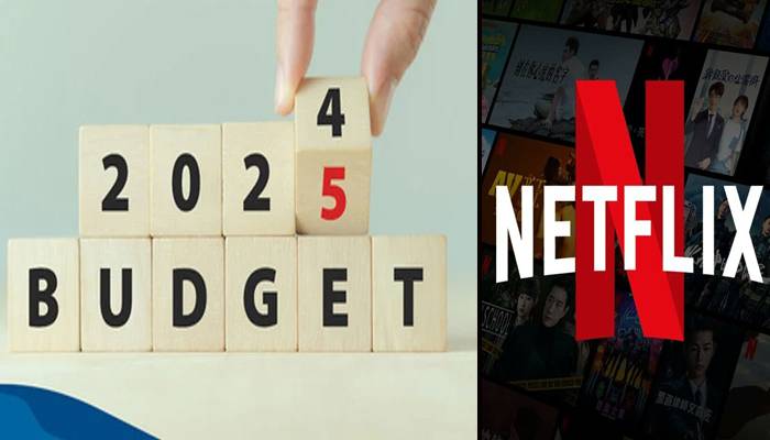 بجٹ 2024-25: کیا Netflix بھی مہنگا ہونے جارہا ہے؟