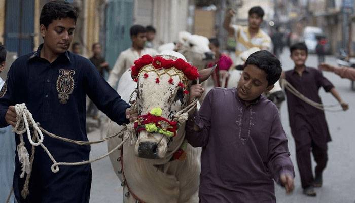 پنجاب حکومت نے عیدالاضحیٰ پر تعطیلات کا اعلان کردیا