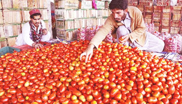 ٹماٹروں کی بین الاضلاعی برآمد پر دفعہ 144 عائد