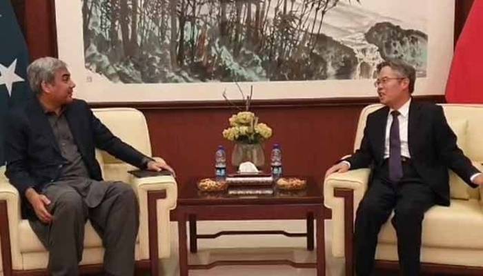 وزیر داخلہ کی چینی سفیر سےملاقات،سکیورٹی کےاقدامات پر تبادلہ خیال