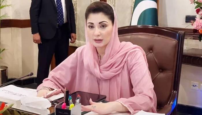 مریم نواز کی 100 دن کی کارکردگی کی عالمی میڈیا پر تشہیر کا فیصلہ