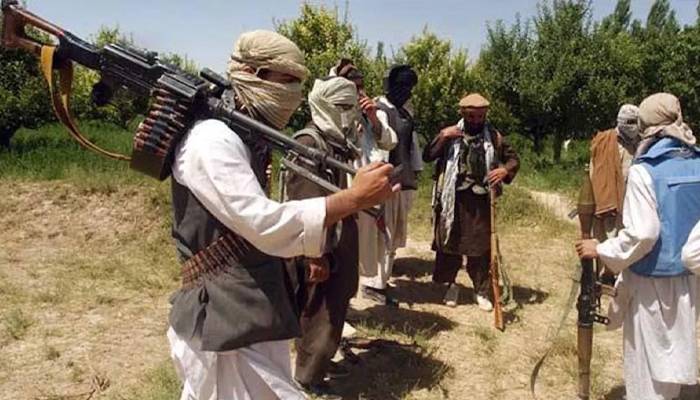 afghan taliban raised support for ttp : UN