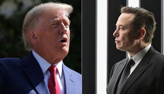 musk donated for trump