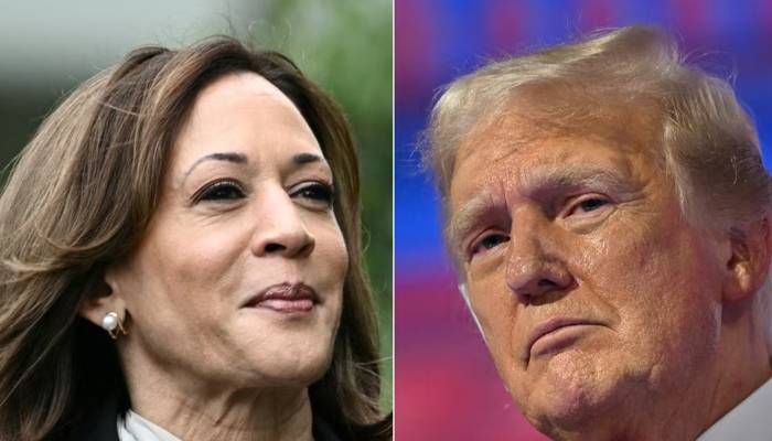 harris and trump survey