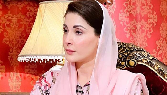 مریم نواز کی جعلی تصاویر سوشل میڈیا پر اپ لوڈ کرنے والے 2 ملزمان گرفتار