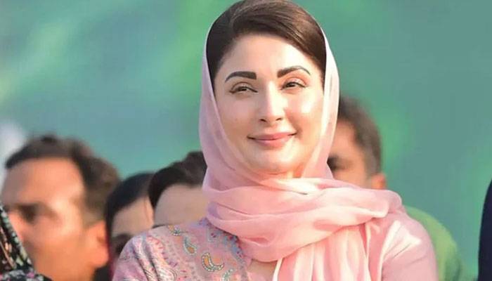 قوم کو پاک فضائیہ کے شاہینوں کی جرأت و بہادری پر فخر ہے، مریم نواز