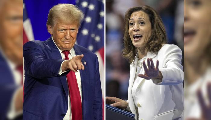 kamla harris or trump new prediction by data scientist